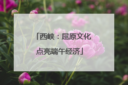 西峡：屈原文化点亮端午经济