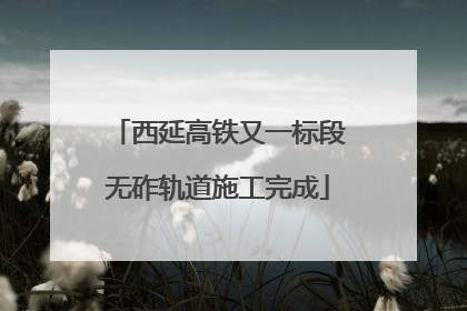 西延高铁又一标段无砟轨道施工完成