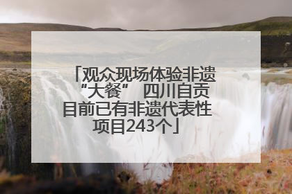 观众现场体验非遗“大餐” 四川自贡目前已有非遗代表性项目243个