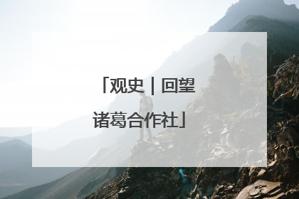观史｜回望诸葛合作社