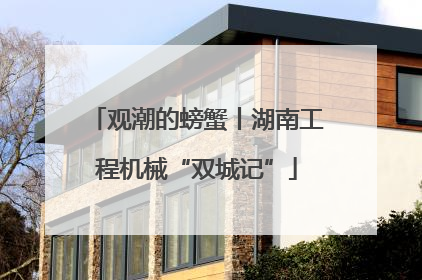 观潮的螃蟹丨湖南工程机械“双城记”