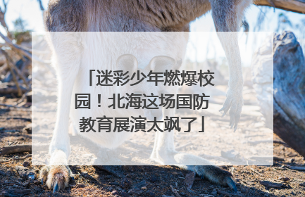 迷彩少年燃爆校园！北海这场国防教育展演太飒了