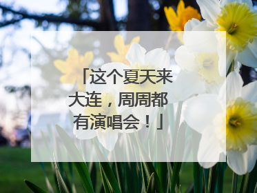 这个夏天来大连，周周都有演唱会！