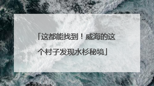 这都能找到！威海的这个村子发现水杉秘境