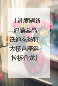 进度刷新 沪渝蓉高铁通泰扬特大桥首座斜拉桥合龙