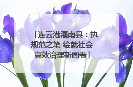 连云港灌南县：执规范之笔 绘就社会高效治理新画卷