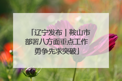 辽宁发布｜鞍山市部署八方面重点工作勇争先求突破