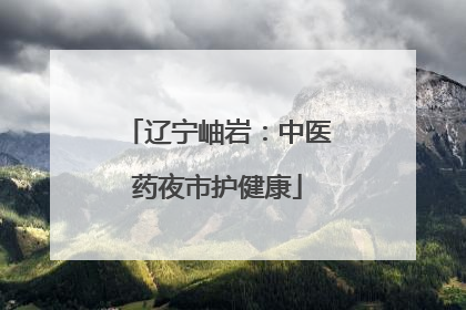 辽宁岫岩：中医药夜市护健康