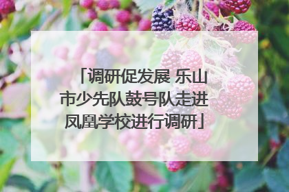 调研促发展 乐山市少先队鼓号队走进凤凰学校进行调研