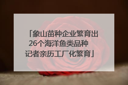 象山苗种企业繁育出26个海洋鱼类品种 记者亲历工厂化繁育