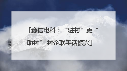 豫信电科：“驻村”更“助村” 村企联手话振兴