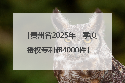贵州省2025年一季度授权专利超4000件