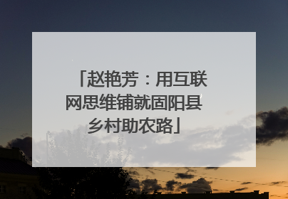 赵艳芳：用互联网思维铺就固阳县乡村助农路