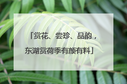 赏花、尝珍、品韵，东湖赏荷季有颜有料