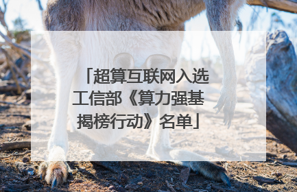 超算互联网入选工信部《算力强基揭榜行动》名单
