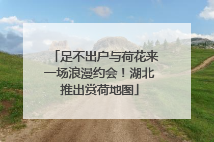 足不出户与荷花来一场浪漫约会！湖北推出赏荷地图