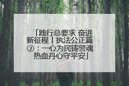 践行总要求 奋进新征程丨执法公正篇②：一心为民铸警魂 热血丹心守平安