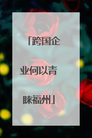 跨国企业何以青睐福州