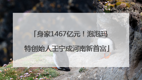 身家1467亿元！泡泡玛特创始人王宁成河南新首富