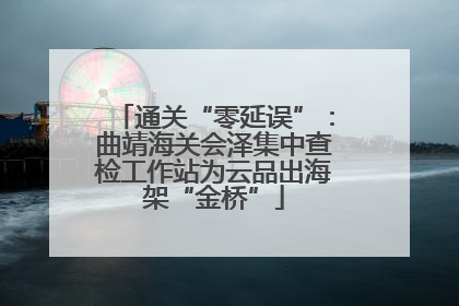 通关“零延误”：曲靖海关会泽集中查检工作站为云品出海架“金桥”