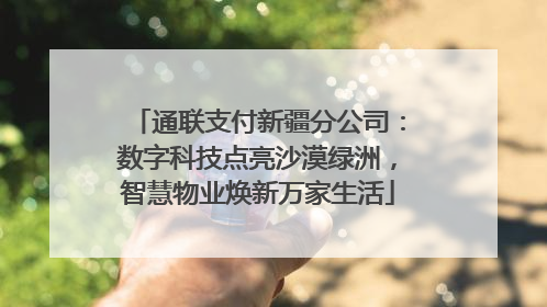通联支付新疆分公司：数字科技点亮沙漠绿洲，智慧物业焕新万家生活