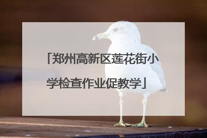 郑州高新区莲花街小学检查作业促教学