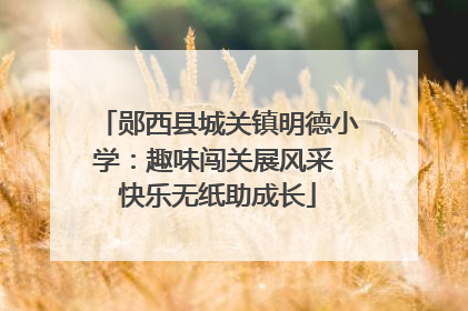 郧西县城关镇明德小学：趣味闯关展风采 快乐无纸助成长