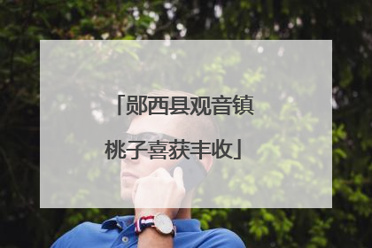 郧西县观音镇桃子喜获丰收