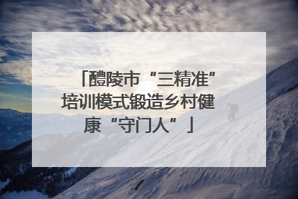 醴陵市“三精准”培训模式锻造乡村健康“守门人”