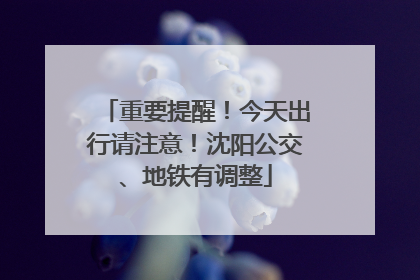 重要提醒！今天出行请注意！沈阳公交、地铁有调整