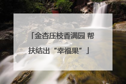 金杏压枝香满园 帮扶结出“幸福果”