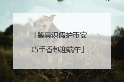 鉴真识假护币安 巧手香包迎端午