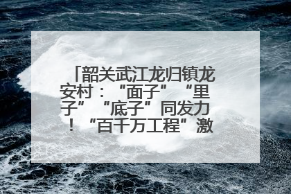 韶关武江龙归镇龙安村：“面子”“里子”“底子”同发力！“百千万工程”激活乡村新动能