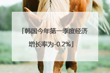 韩国今年第一季度经济增长率为-0.2%