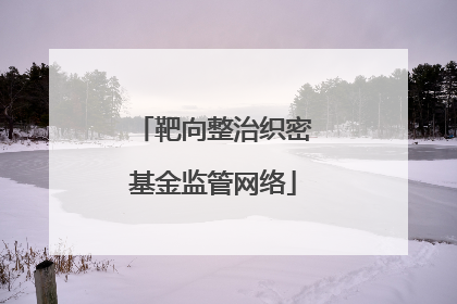 靶向整治织密基金监管网络