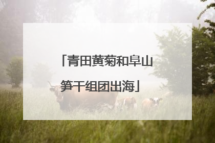 青田黄菊和阜山笋干组团出海
