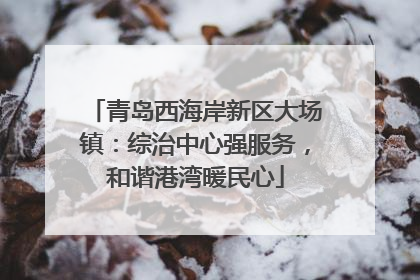 青岛西海岸新区大场镇：综治中心强服务，和谐港湾暖民心