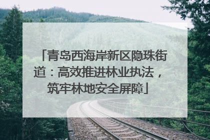 青岛西海岸新区隐珠街道：高效推进林业执法，筑牢林地安全屏障