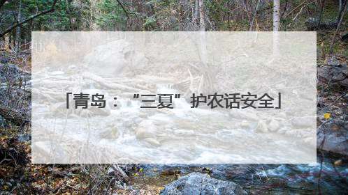 青岛：“三夏”护农话安全