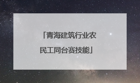 青海建筑行业农民工同台赛技能