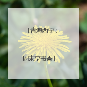 青海西宁：周末享书香