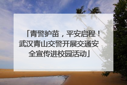 青警护苗，平安启程！武汉青山交警开展交通安全宣传进校园活动