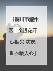 铜川市耀州区：金银花开促振兴 志愿助农暖人心