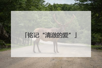 铭记“清澈的爱”