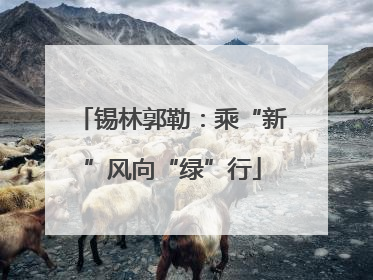 锡林郭勒：乘“新”风向“绿”行