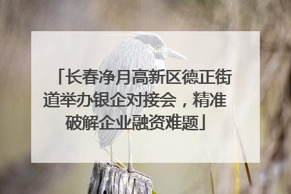 长春净月高新区德正街道举办银企对接会，精准破解企业融资难题