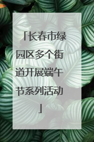 长春市绿园区多个街道开展端午节系列活动