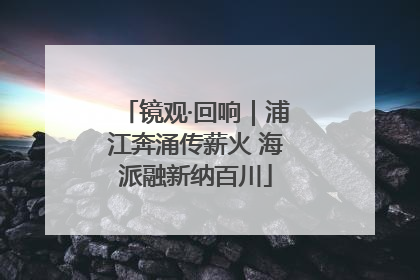 镜观·回响｜浦江奔涌传薪火 海派融新纳百川