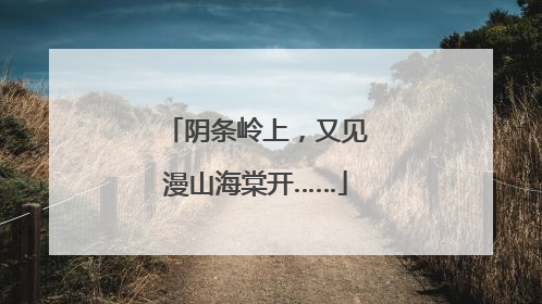 阴条岭上，又见漫山海棠开……