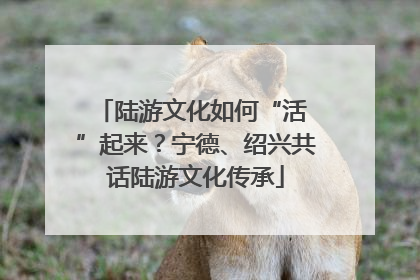 陆游文化如何“活 ”起来？宁德、绍兴共话陆游文化传承